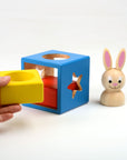 Smart Games Bunny Boo