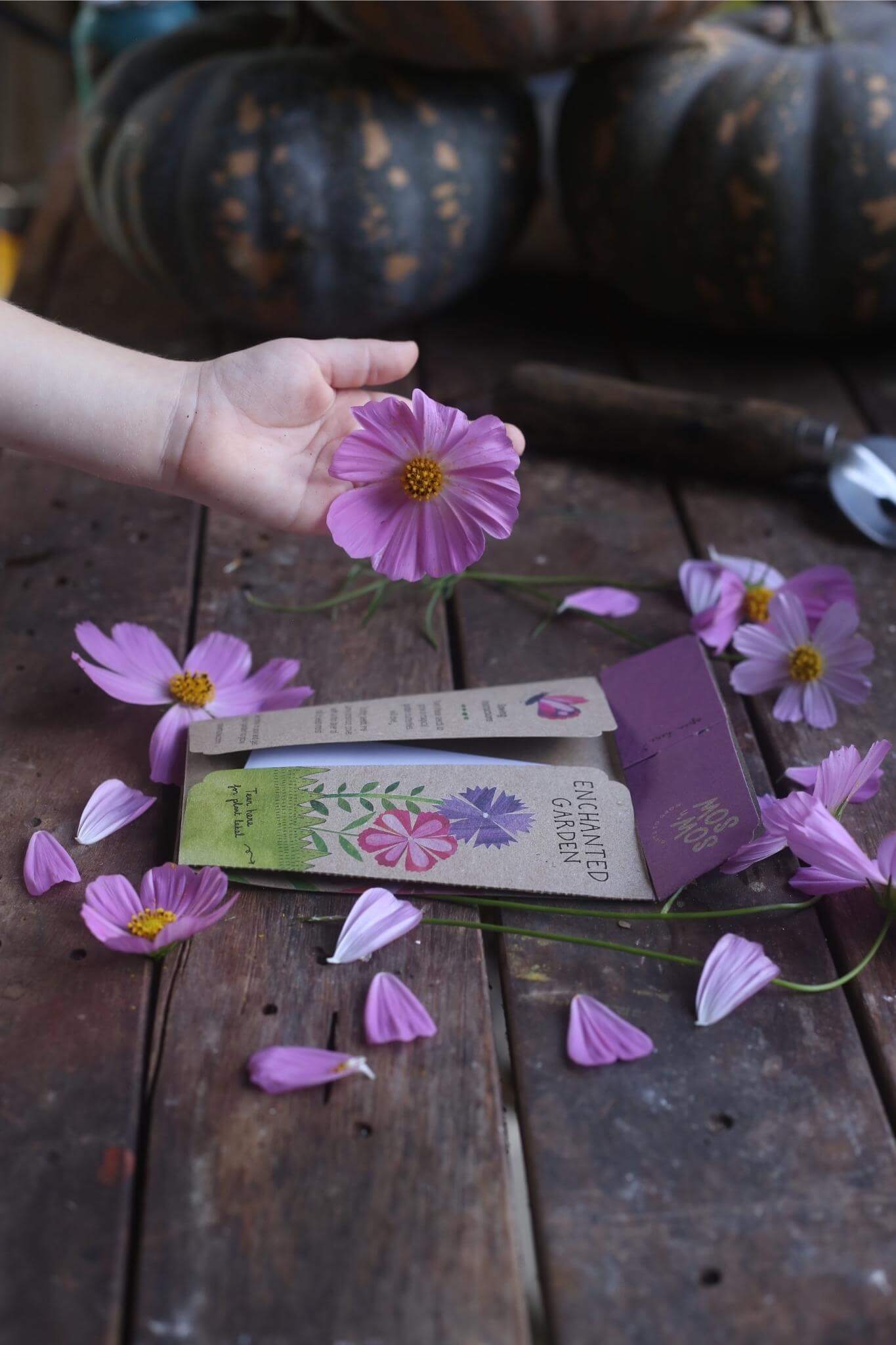 Sow &#39;n Sow Enchanted Garden Gift of Seeds