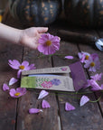 Sow 'n Sow Enchanted Garden Gift of Seeds