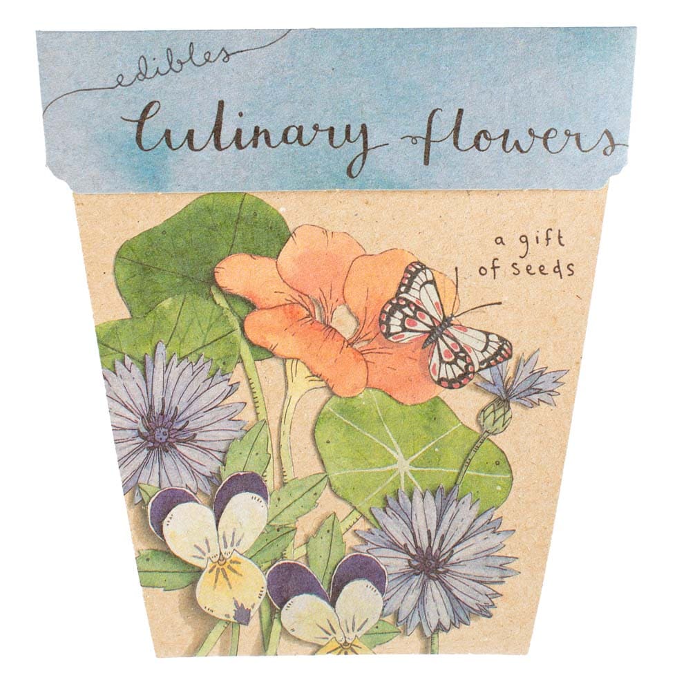 Sow &#39;n Sow Culinary Flowers Gift of Seeds