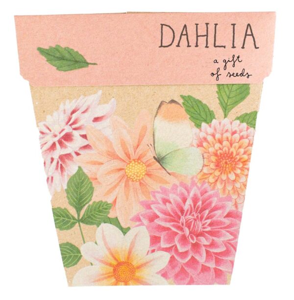 Sow &#39;n Sow Dahlia Gift of Seeds