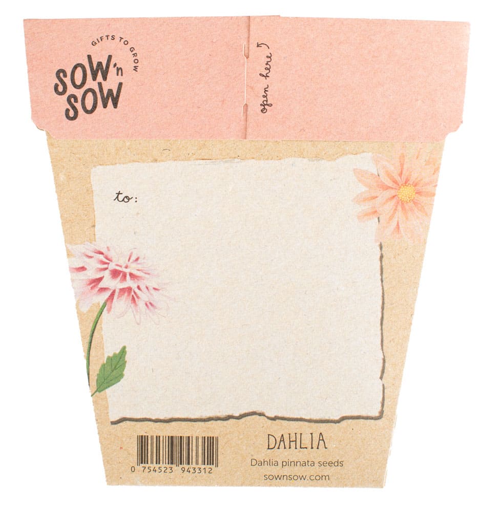 Sow &#39;n Sow Dahlia Gift of Seeds