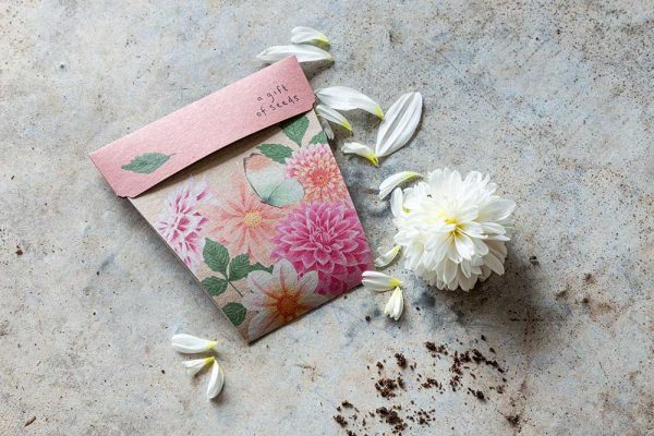 Sow &#39;n Sow Dahlia Gift of Seeds