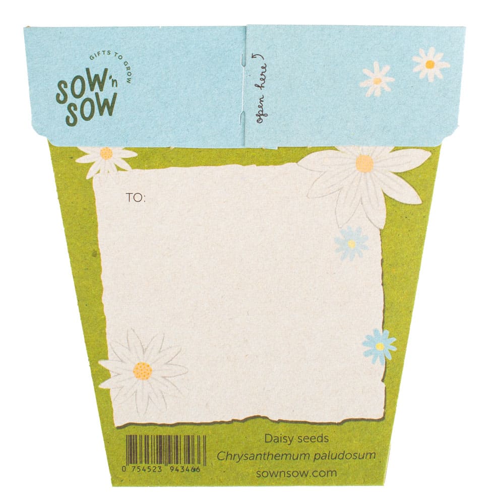 Sow &#39;n Sow Daisy Gift of Seeds