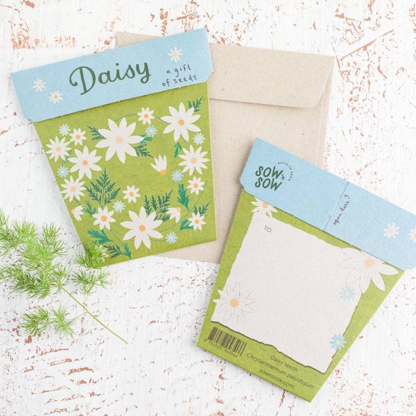 Sow &#39;n Sow Daisy Gift of Seeds