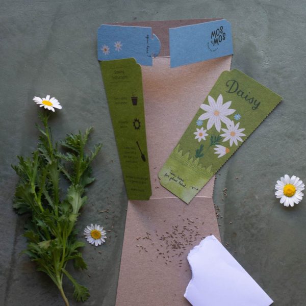 Sow &#39;n Sow Daisy Gift of Seeds