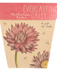 Sow 'n Sow Everlasting Daisy Gift of Seeds