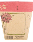 Sow 'n Sow Everlasting Daisy Gift of Seeds