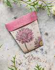 Sow 'n Sow Everlasting Daisy Gift of Seeds