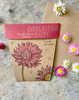 Sow 'n Sow Everlasting Daisy Gift of Seeds