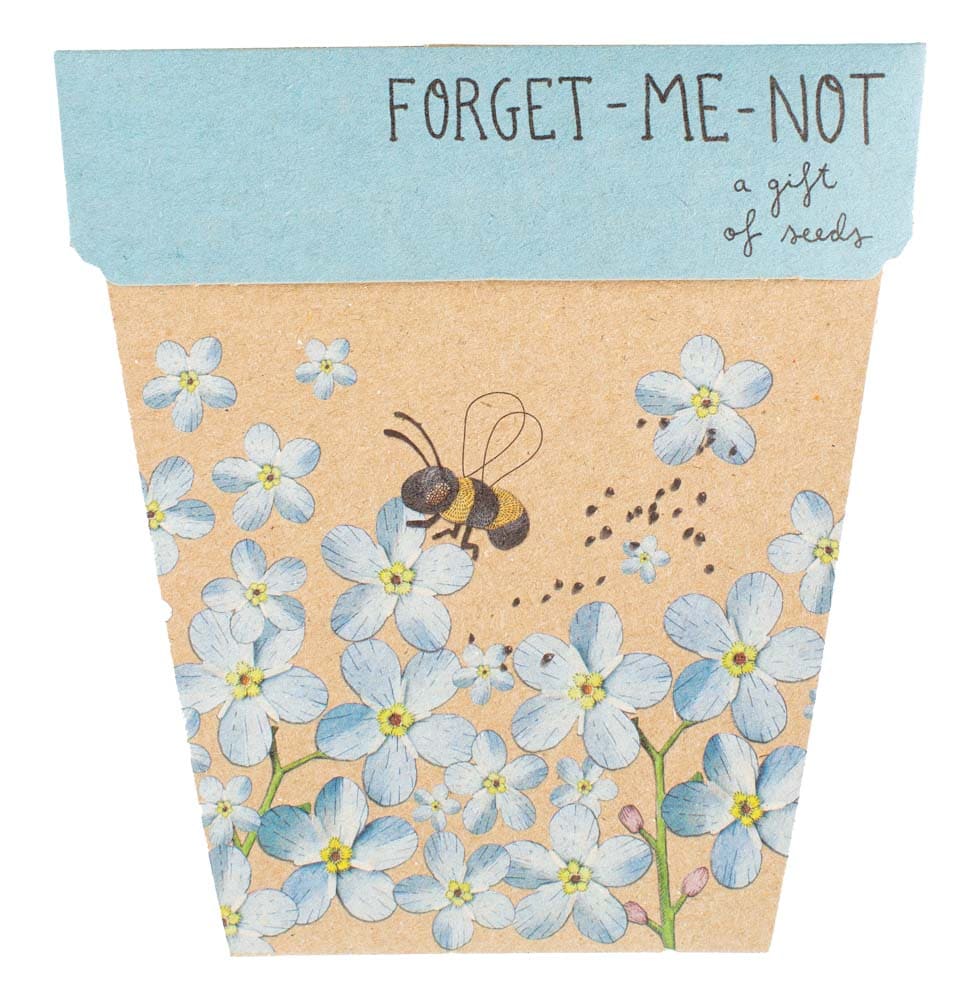 Sow 'n Sow Forget-me-not Gift of Seeds