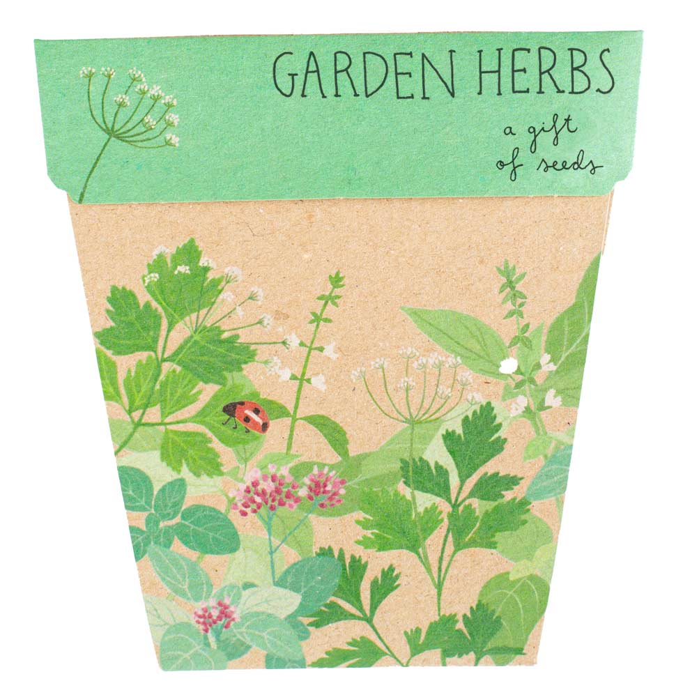 Sow 'n Sow Garden Herbs Gift of Seeds
