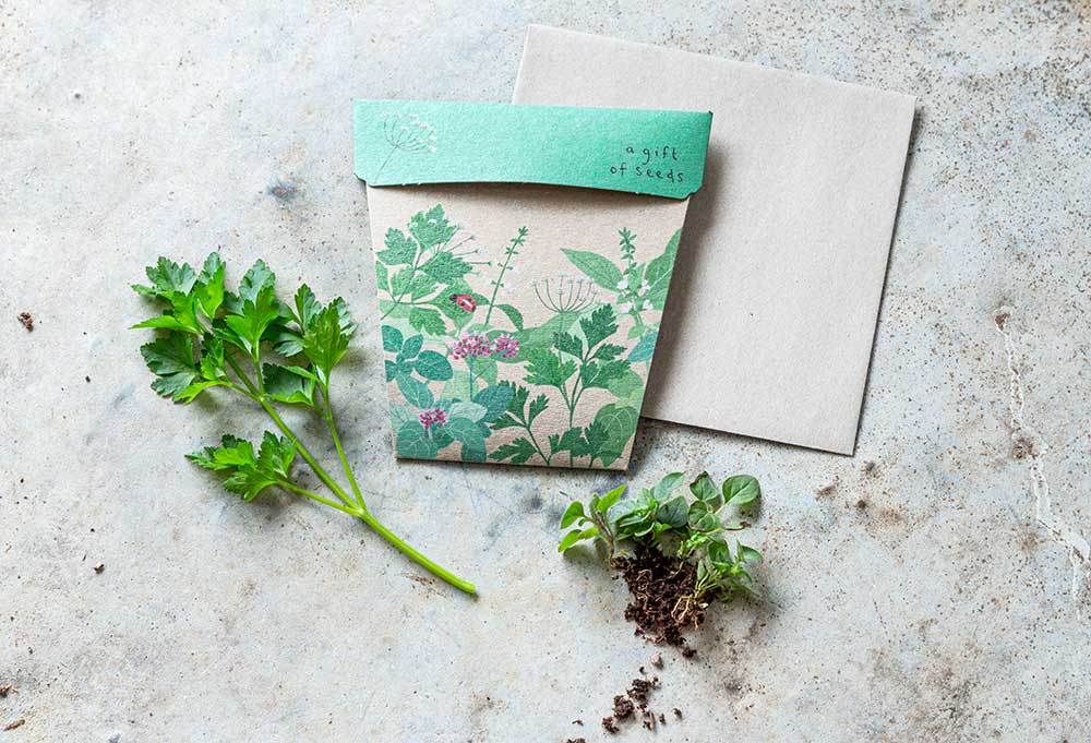 Sow 'n Sow Garden Herbs Gift of Seeds