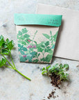Sow 'n Sow Garden Herbs Gift of Seeds