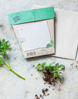 Sow 'n Sow Garden Herbs Gift of Seeds