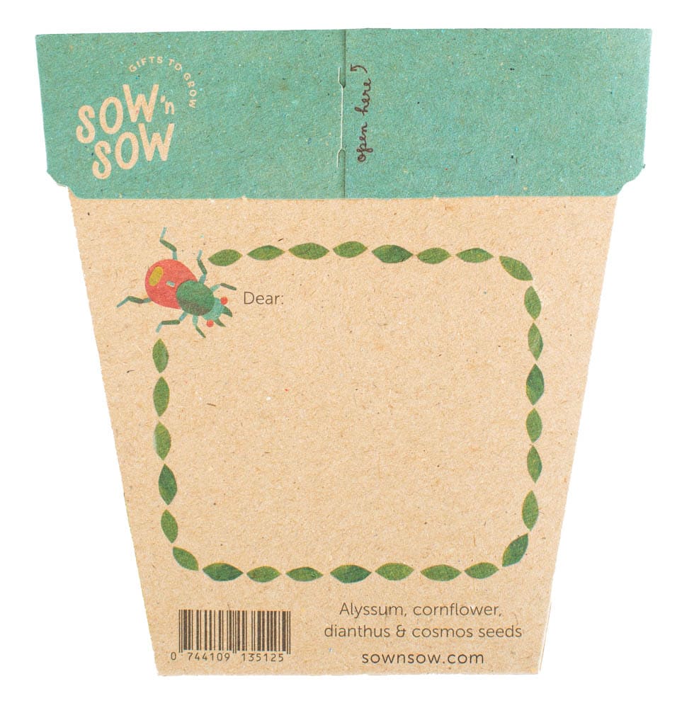 Sow 'n Sow Garden Wonderland Gift of Seeds