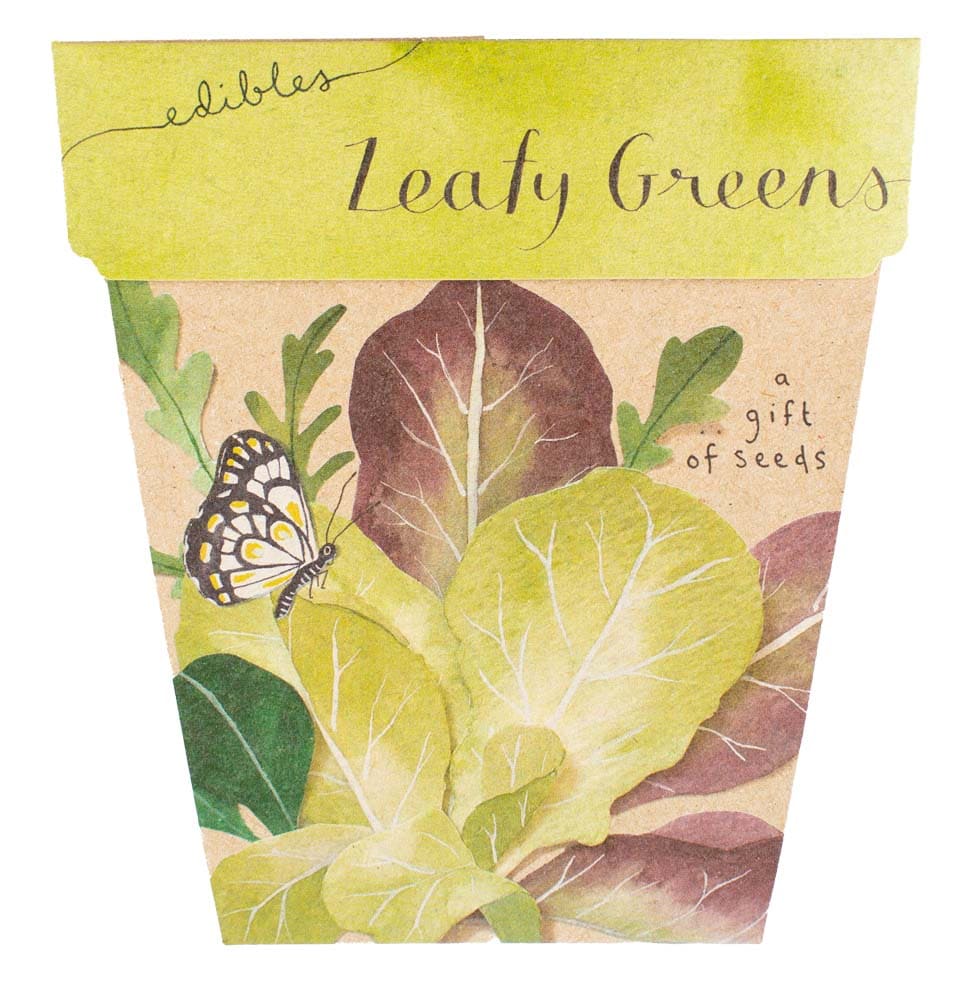 Sow 'n Sow Leafy Greens Gift of Seeds