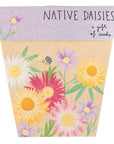 Sow 'n Sow Native Daisies Gift of Seeds