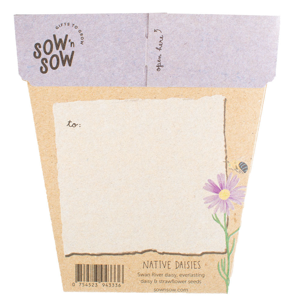 Sow &#39;n Sow Native Daisies Gift of Seeds