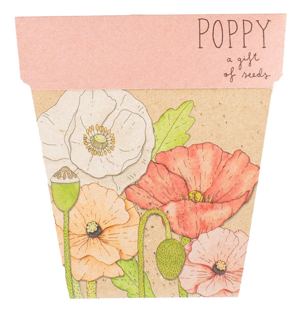 Sow &#39;n Sow Poppy Gift of Seeds