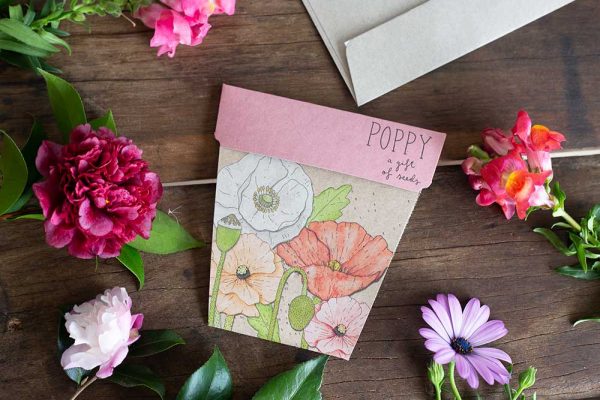 Sow &#39;n Sow Poppy Gift of Seeds