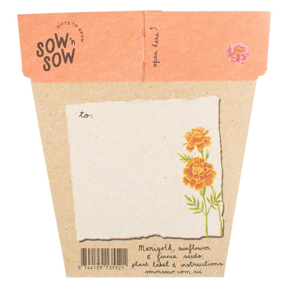 Sow 'n Sow Secret Garden Gift of Seeds
