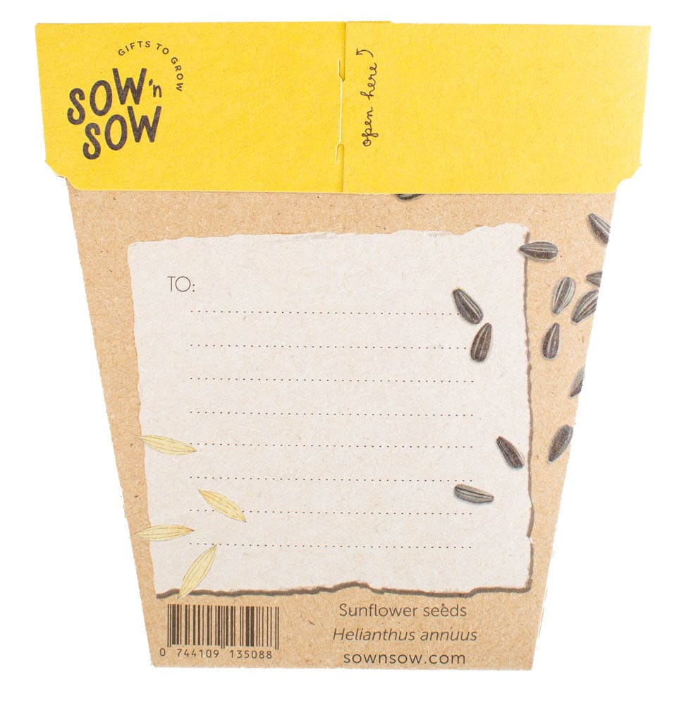 Sow &#39;n Sow Sunflower Gift of Seeds