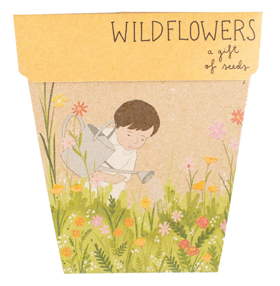 Sow 'n Sow Wildflowers Gift of Seeds