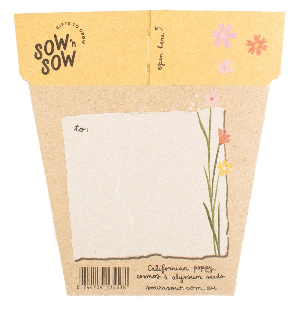 Sow &#39;n Sow Wildflowers Gift of Seeds