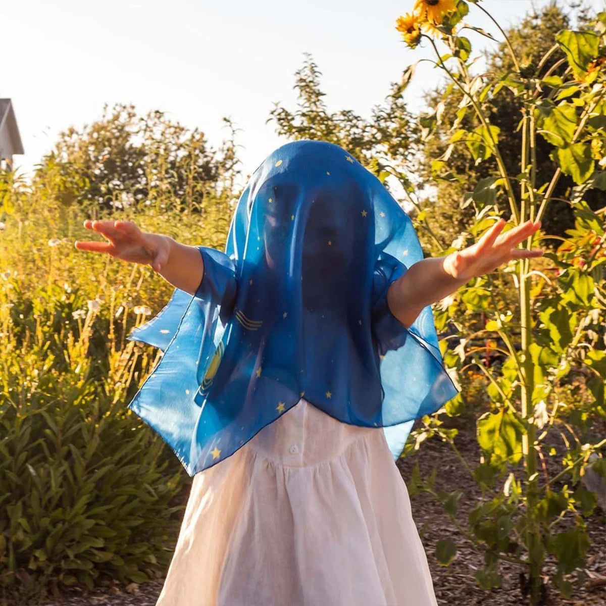 Sarah's Silks Enchanted Playsilks 