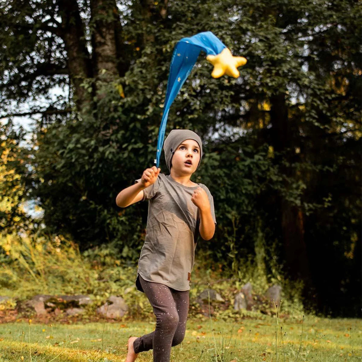 Sarah's Silks Skytail Shooting Star

