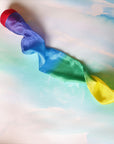 Sarah's Silks Skytail Rainbow Comet