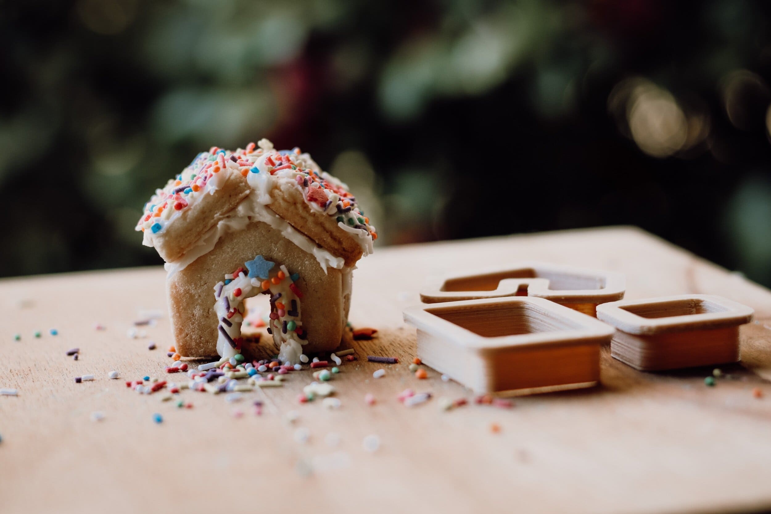 Gingerbread House Eco Cutter Set