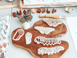 Load image into Gallery viewer, Monarch Butterfly Lifecycle Eco Cutter Set
